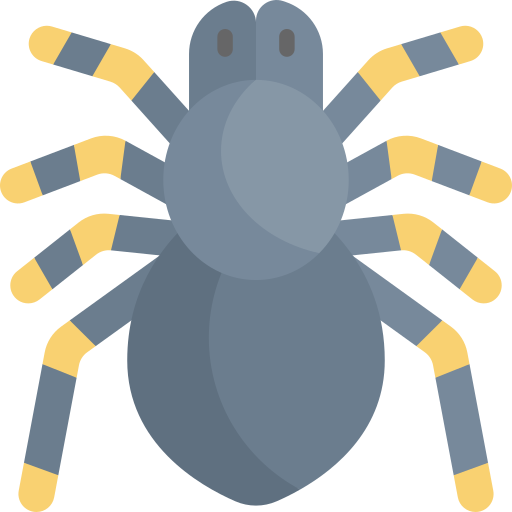 tarántula icono gratis