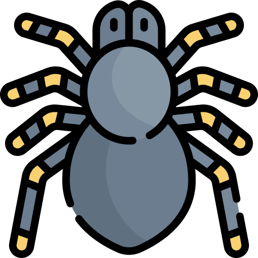 Tarantula free icon