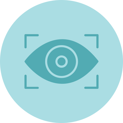 Vision Generic Flat icon