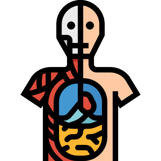 anatomy symbol