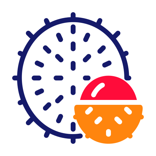 Rambutan free icon Rambutan free icon