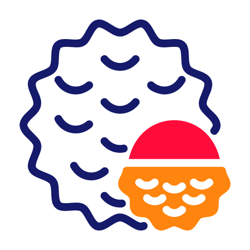 Lychee free icon