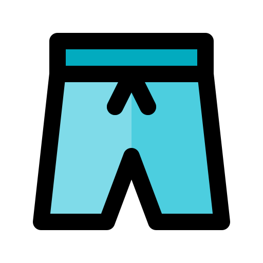 Shorts Generic Outline Color icon