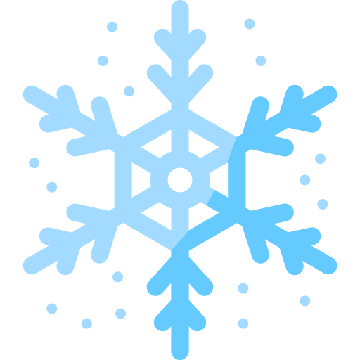 Snowflake Special Flat icon