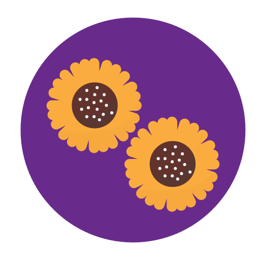 girasol icono gratis