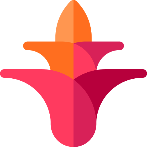 Bromeliad free icon Bromeliad free icon