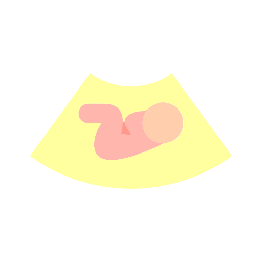 fetal icono gratis