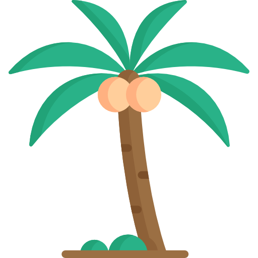 palmera icono gratis