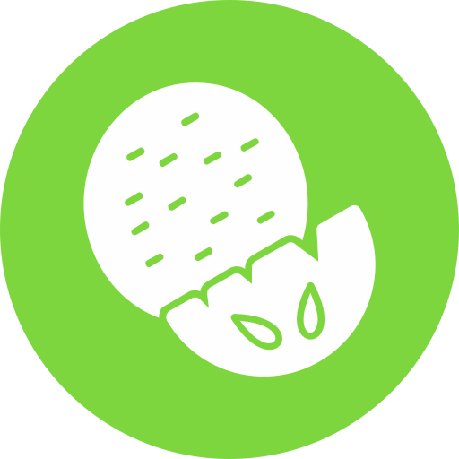 Watermelon free icon Watermelon free icon