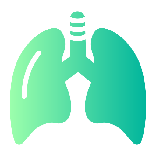 Lungs Generic Flat Gradient icon