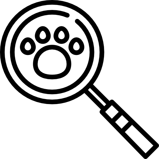 Search free icon
