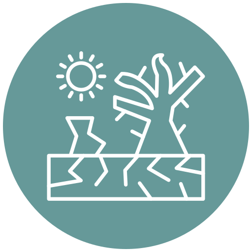 Desertification free icon Desertification free icon