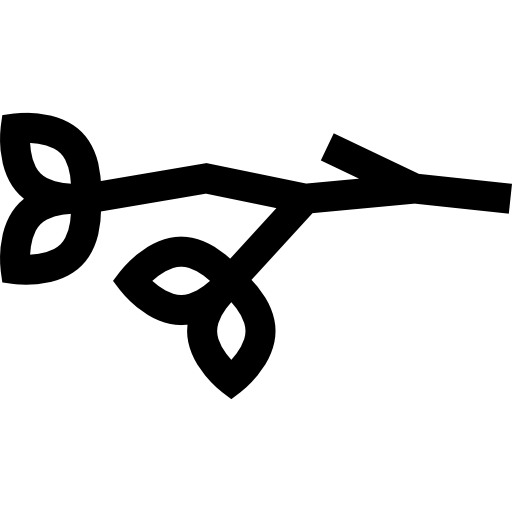 ramo Basic Straight Lineal icona