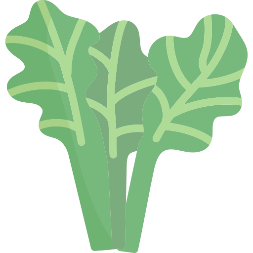 Spinach free icon Spinach free icon