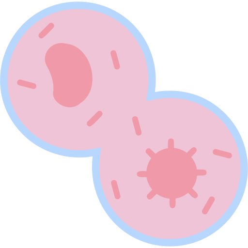 mitosis icono gratis