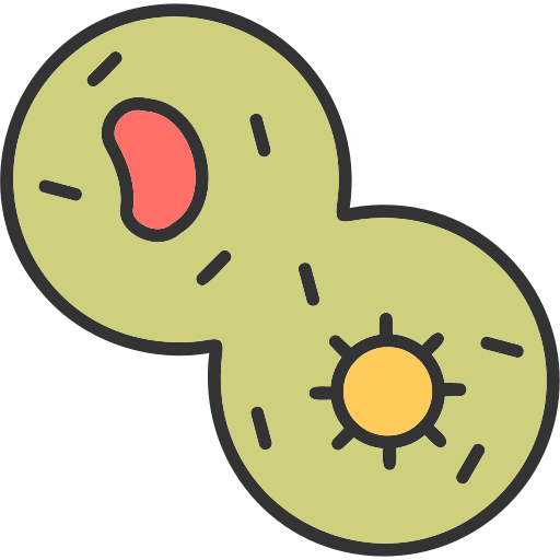 mitosis icono gratis