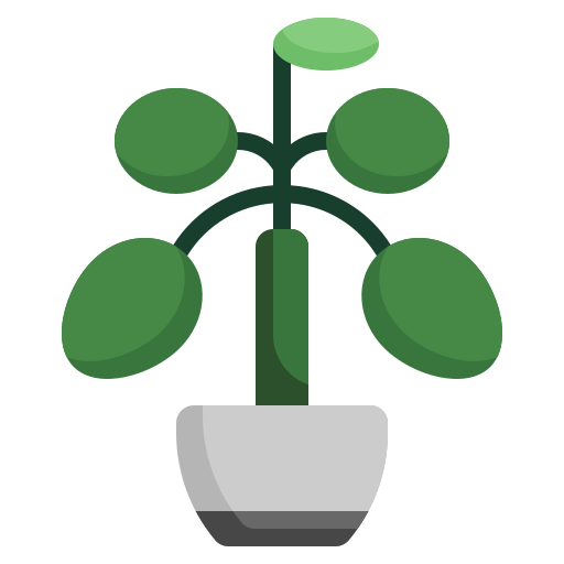 planta de dinero chino icono gratis