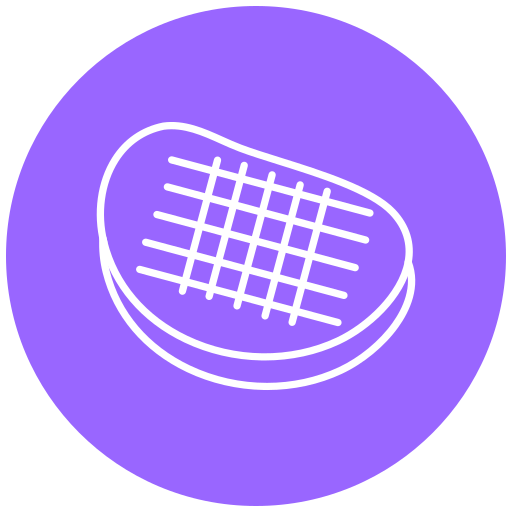 Steak Generic Flat icon