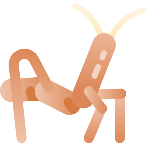Stick insect free icon Stick insect free icon