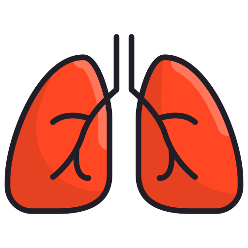 Lungs Generic Outline Color icon