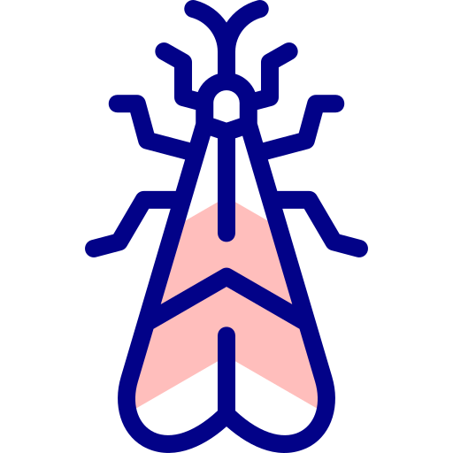 곤충 무료 아이콘