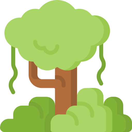 Rainforest - Free nature icons