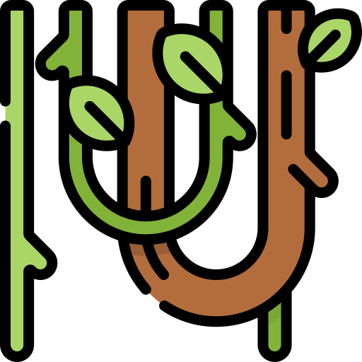 Vines Special Lineal color icon