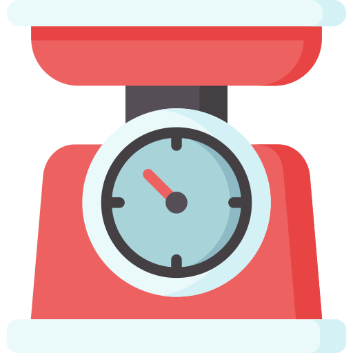 Food scale Special Flat icon