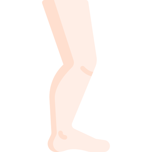 Leg Special Flat icon