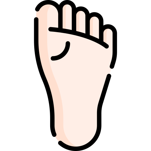 Foot Special Lineal color icon