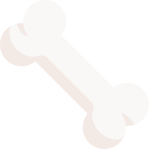 Bone Special Flat Icon