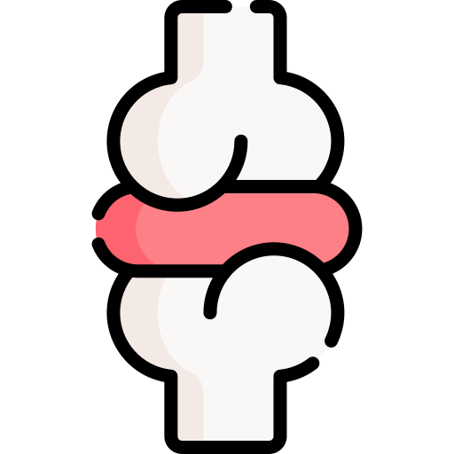 knorpel kostenlos Icon