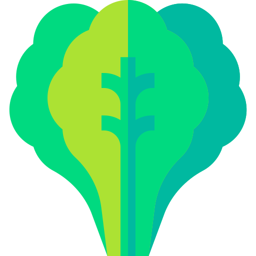 kopfsalat kostenlos Icon