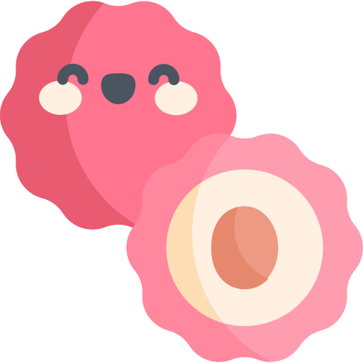 litchi Icône gratuit litchi Icône gratuit