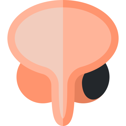 Prostate free icon Prostate free icon