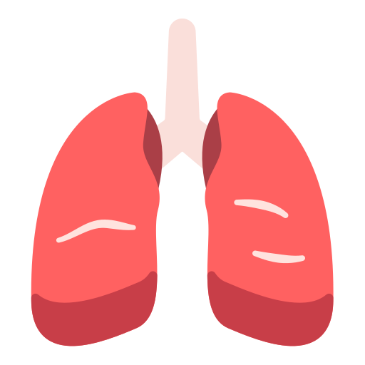 pulmones icono gratis