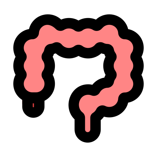 Colon Generic Outline Color icon