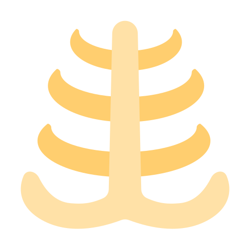 Rib free icon