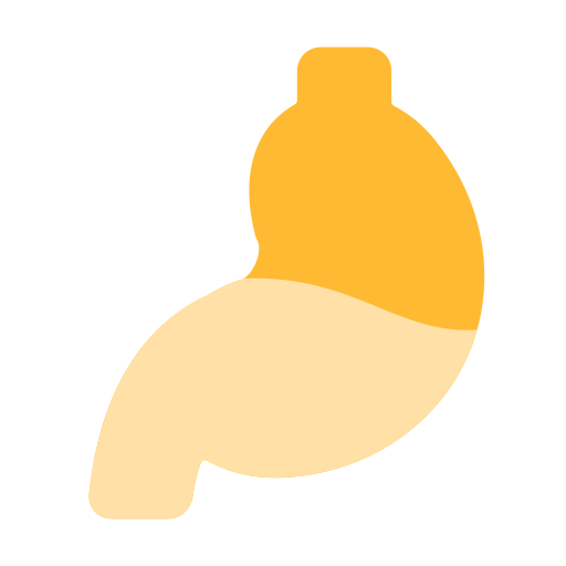 Stomach free icon Stomach free icon