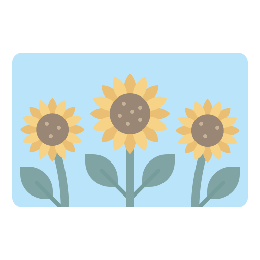 Sunflower free icon Sunflower free icon