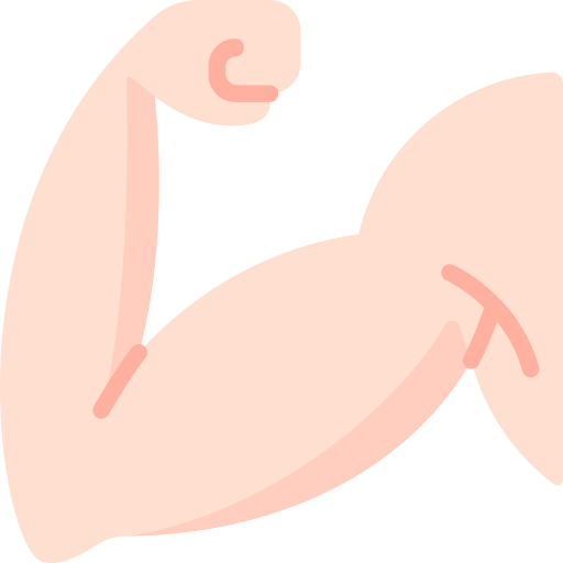 muskel kostenlos Icon