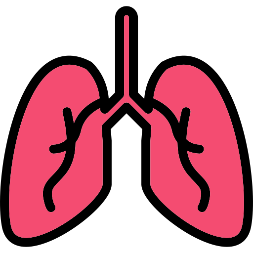 Lungs Generic Outline Color icon