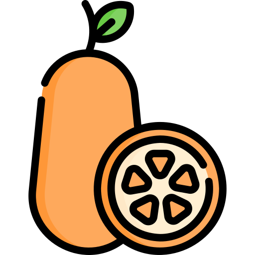 naranja china icono gratis