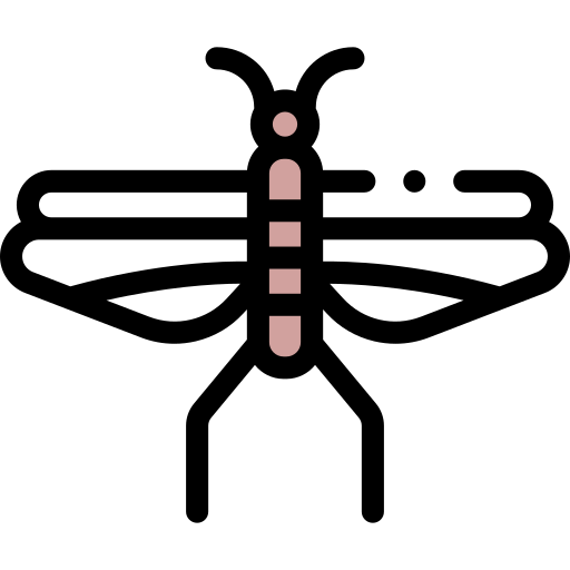 Locust free icon Locust free icon