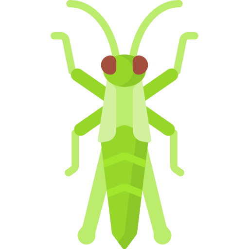 Grasshopper Special Flat icon