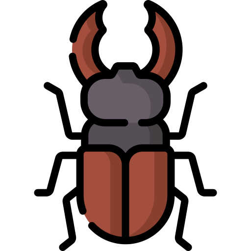 Stag beetle Special Lineal color icon