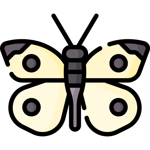 mariposa icono gratis