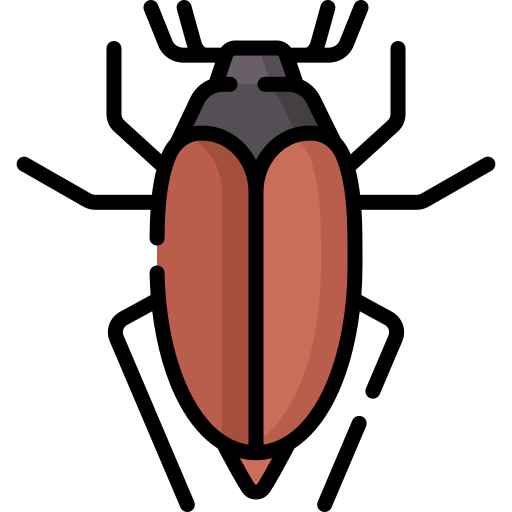 Cockchafer - Free animals icons