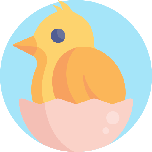 Chicken free icon Chicken free icon