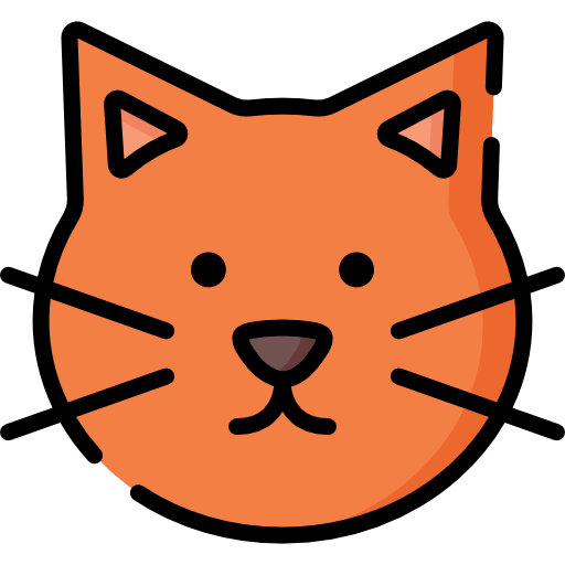 Cat Special Lineal color icon